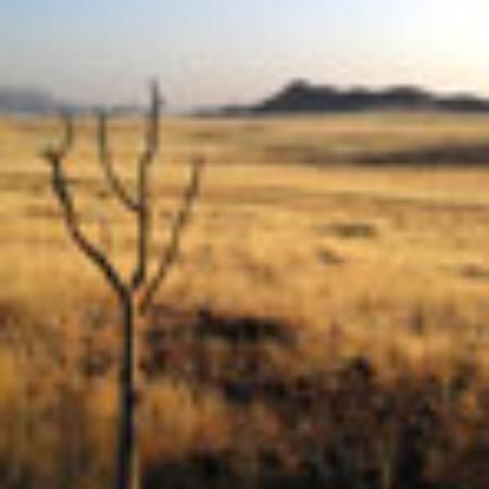 Restaurante E Petiscaria Mana